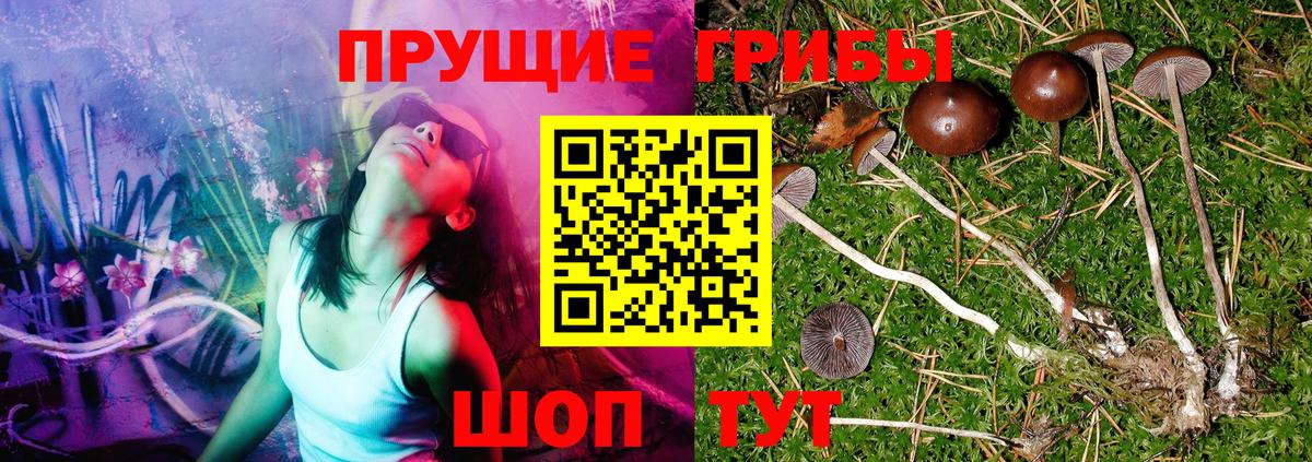 Галлюциногенные грибы Cubensis  Псилоцибиновые грибы ЛСД  Вход с VPN  Владикавказ 